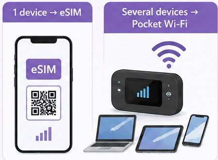 eSIM for one phone and pocket Wi-Fi for several devices
